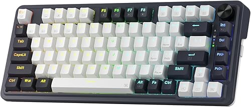 Redragon K673 PRO 75% Wireless Gasket RGB Gaming Keyboard, 3-Modes 81 — Our recommended configuration for best results