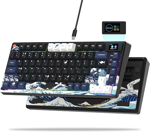Womier SK80 75% Keyboard with Color Multimedia Display Mechanical Gami — Our recommended configuration for best results